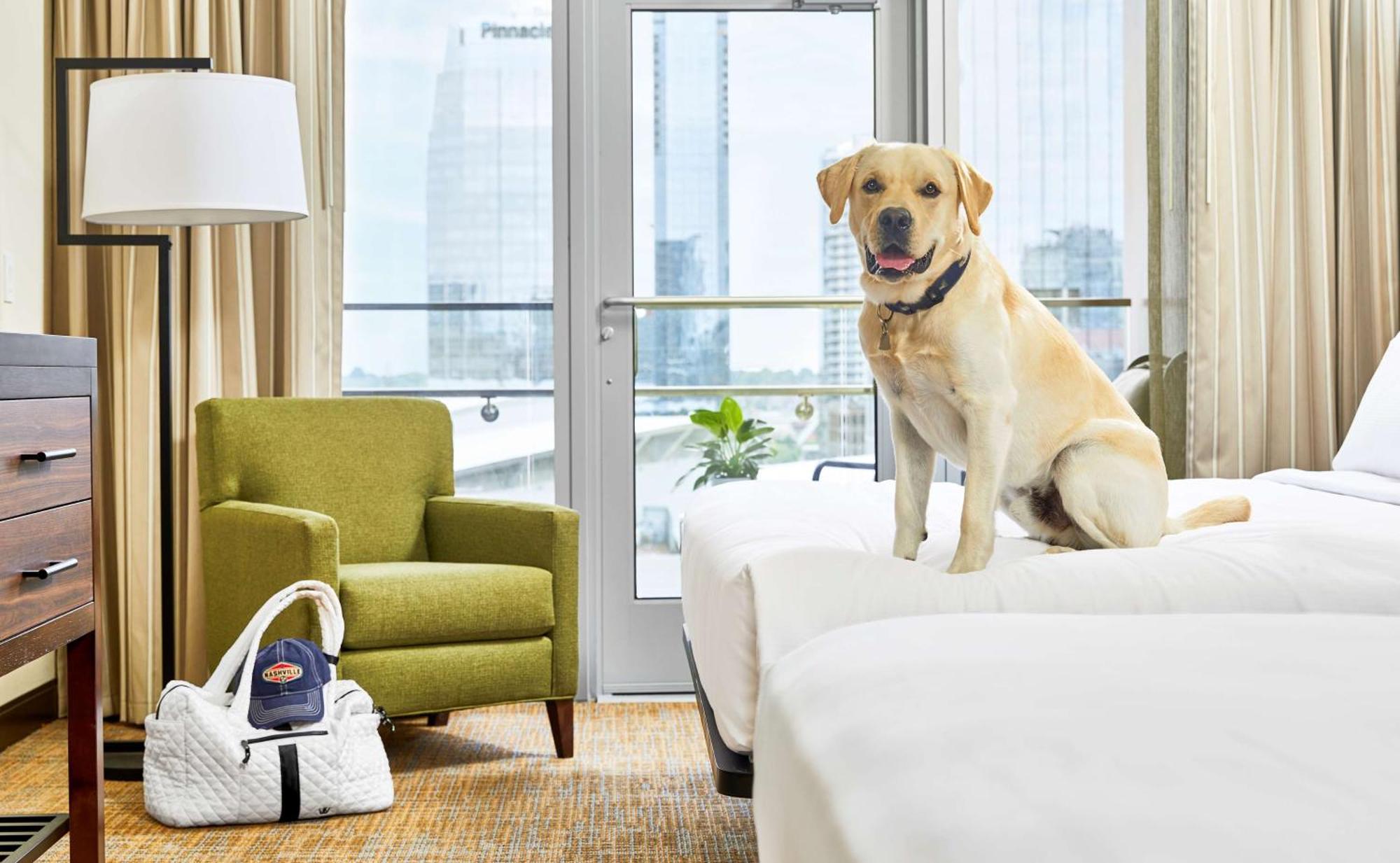 Embassy Suites By Hilton Nashville Downtown Экстерьер фото